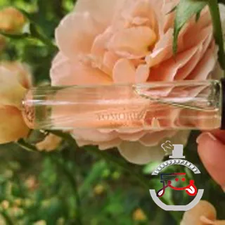 Today Tomorrow Always Wonder Avon
